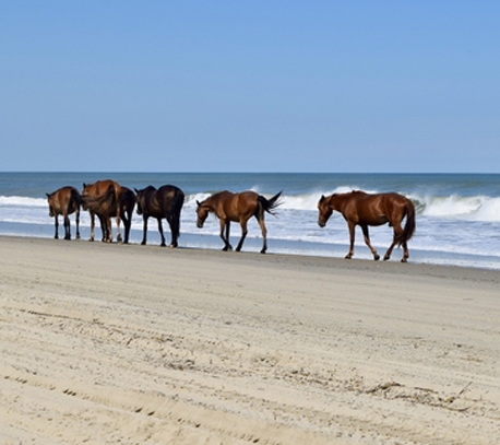 End-of-Summer-in-OBX