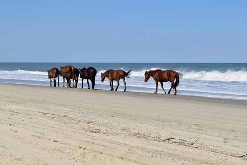 OBX events 2018 August