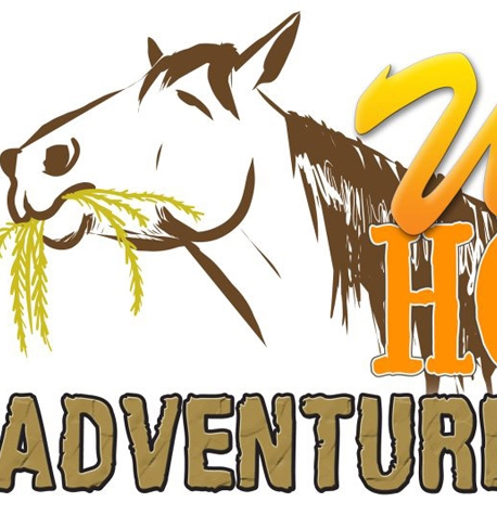 Wild Horse Adventure Tours